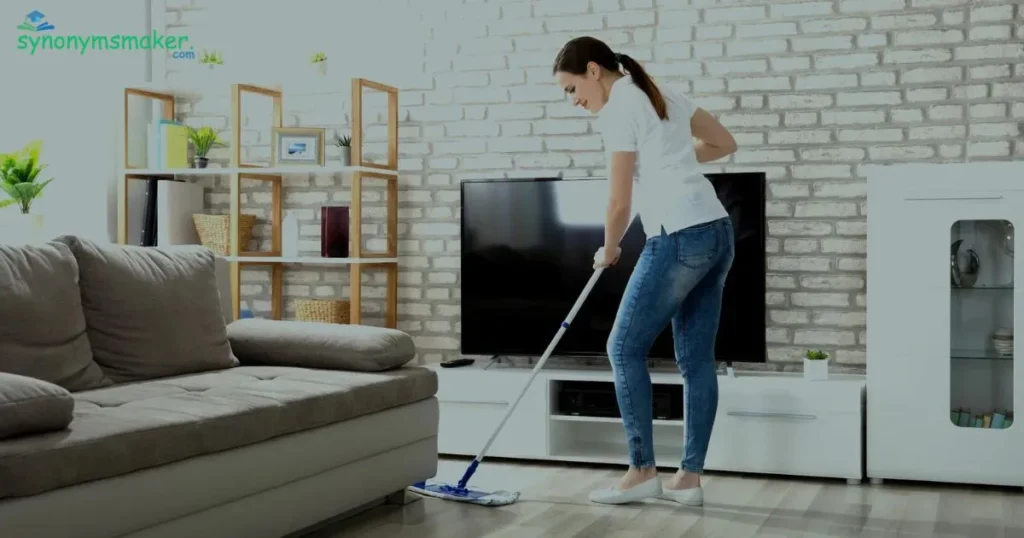 Meticulous Cleaner