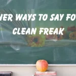 Other Ways to say For a Clean Freak