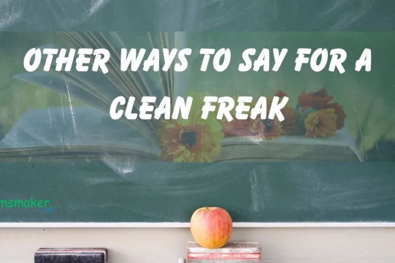 15 Other Ways to say For a “Clean Freak”  2025