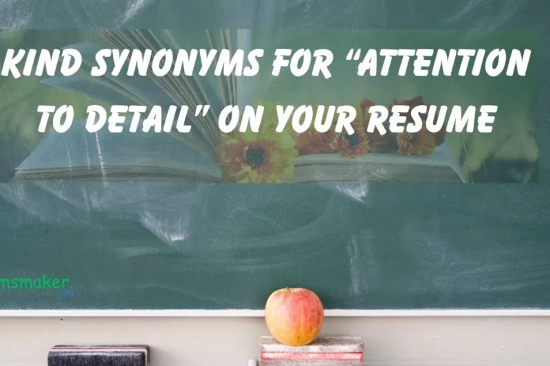 15+ Kind Synonyms for “Attention to Detail” on Your Resume