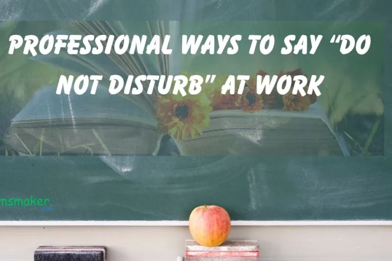 15+ Professional Ways to Say “Do Not Disturb” at Work