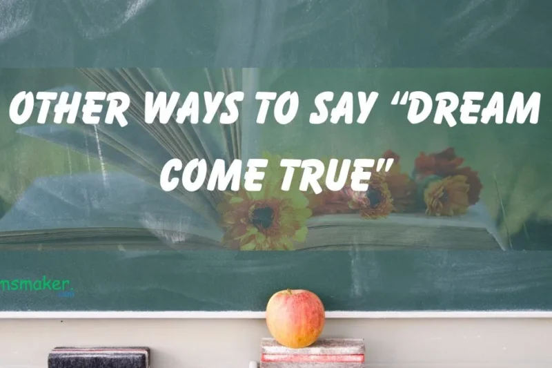 15+ Other Ways to Say “Dream Come True”