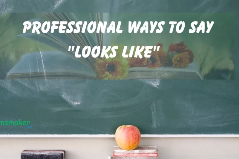 15+ Professional ways to say “Looks Like” 2025