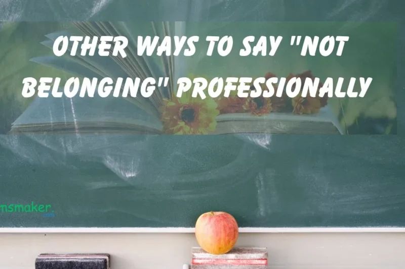 15+ Other ways to say “Not Belonging” professionally